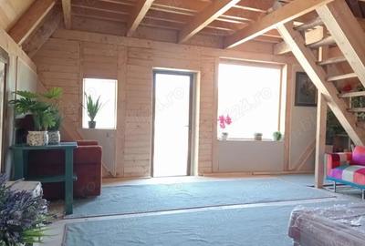 Casă cu 2 camere cu Teren 5000 Mp în Brebu - 3