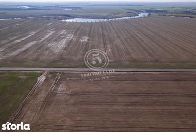 Teren de 17500 mp, în Vasilați - 7