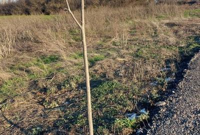 Teren de 1235 mp, în Exterior Vest - 1