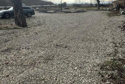 Spațiu comercial, în Sânpetru - 13