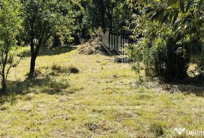 Teren de 3234 mp, în Lerești - 1