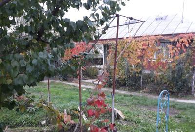 Casă în Central - 6
