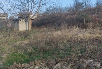 Teren de 14251 mp, în Podgoria - 7