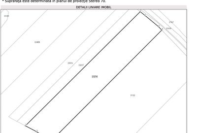 Teren extravilan de 54000 mp, în Drăgănești - 3