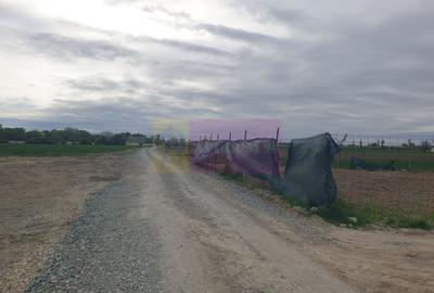 Teren în Măgurele - 16