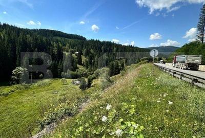 Teren de 6941 mp, în Iacobeni - 1