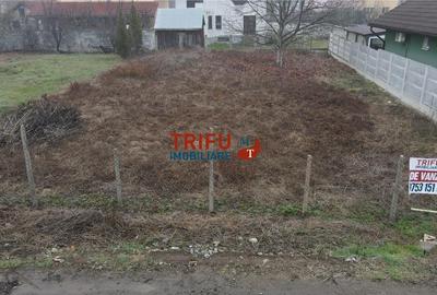 Teren Construcții intravilan de 458 mp, în Cetate - 2