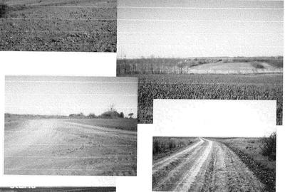 Teren de 5900 mp, în Liești - 4