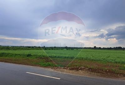 Teren Construcții intravilan de 15000 mp, în Ciolpani - 6