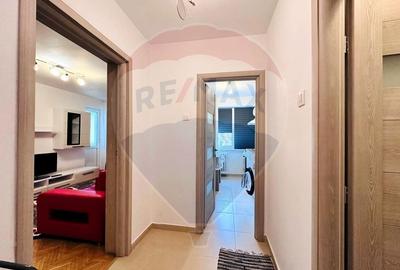 Apartament cu 2 camere semidecomandat, mobilat în Drumul Taberei - 2