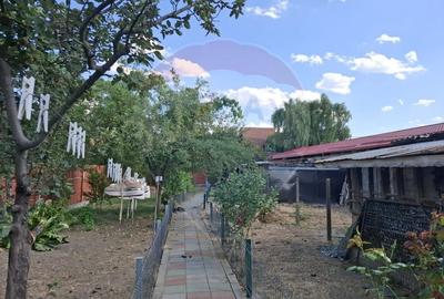 Casa / Vila cu 6 camere de vanzare in zona Calea Severinului - 17