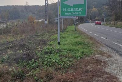 Teren în Moinești - 4