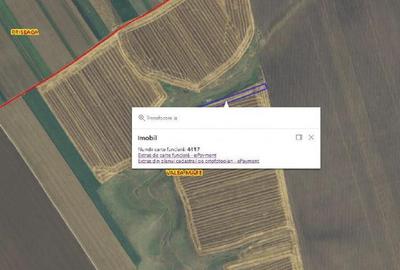 Teren de 4849 mp, în Valea Mare - 3