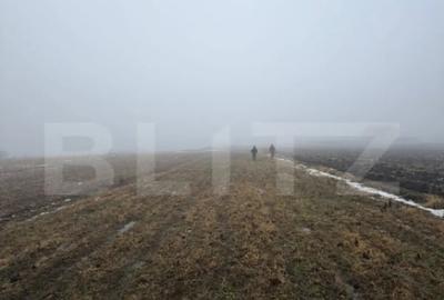 Teren de 2500 mp, în Central - 5