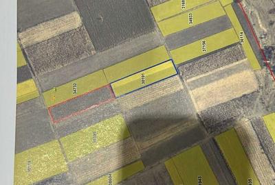 Spațiu comercial, în Horodnic - 1