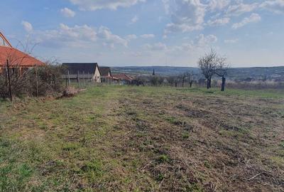 Teren de 1000 mp, în Săldăbagiu de Munte - 3