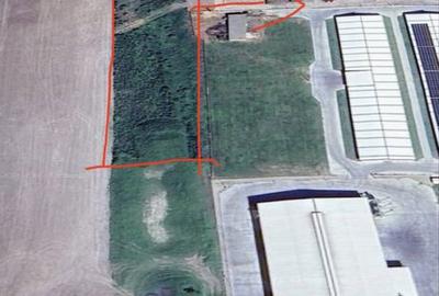 Teren de 5000 mp, în Nord - 1