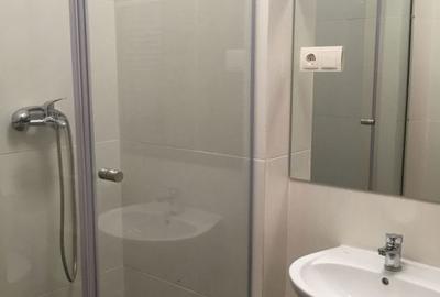 Apartament cu 2 camere, mobilat în Camil Ressu - 7
