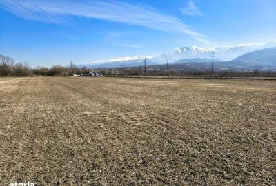 Teren de 2800 mp, în Turnu Roșu - 17