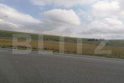 Teren intravilan 30.000 mp cu PUZ, parcelare, deschidere la - 3