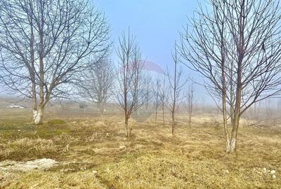 Teren Construcții intravilan de 500 mp, în Turturești - 2