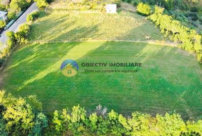 TEREN intravilan  3511 mp - BĂLȚĂTEȘTI - 5