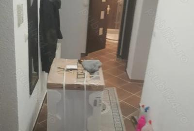 Inchiriere apartament - 7