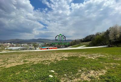 Teren intravilan - Calea Lui Traian - Zona Cetatuia - 13