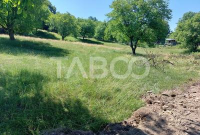 Teren intravilan oportunitate investitie parcelabil 7200 mp Cisnadie Teren intravilan oportunitate investitie parcelabil 7200 mp Cisnadie - 4