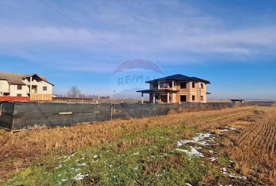 Casă cu 7 camere cu Teren 7400 Mp în Borlești - 17