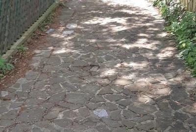 Casă cu 5 camere cu Teren 500 Mp în Poiana Țapului - 4