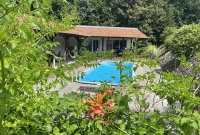 Proprietate exclusivista cu 60.000 mp teren ?i padure - 10