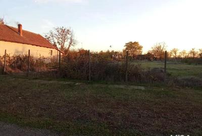 Teren de 1500 mp, în Șagu - 5