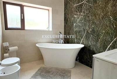 Duplex cu 6 camere cu Canalizare în Băneasa - 21