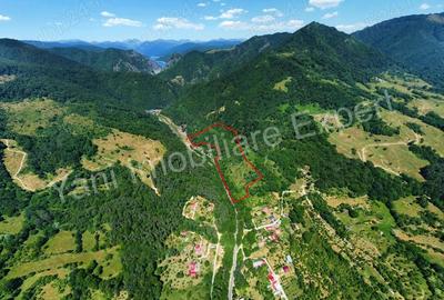 Teren de vanzare pe Transfagara?an. - 1