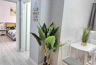 Apartament cu 2 camere decomandat, mobilat în City Park Mall - 4