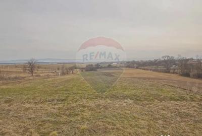 Teren de 2250 mp, în Crizbav - 3