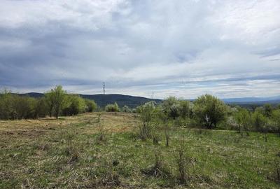 Teren de 6704 mp, în Bârsău - 3