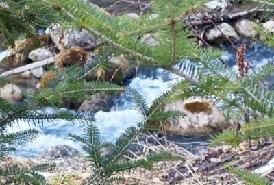 Casă cu 7 camere cu Teren 3800 Mp în Glăjărie - 7