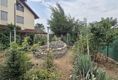 Vanzare vila P+1+M  Sinesti Ialomita  Balta Mostistea - 3