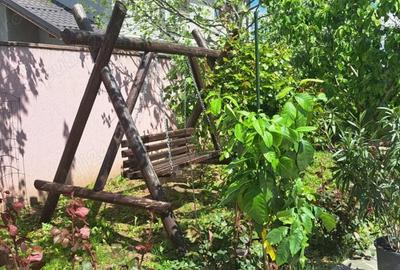 Casă cu 3 camere în Adunații-Copăceni - 5