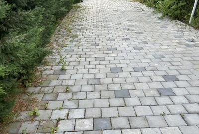 Casă individuală cu 4 camere cu Teren 297 Mp în Snagov - 16