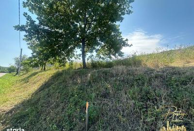 Spațiu comercial, în Sânmartin - 1