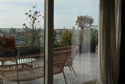 Penthouse pe 2 etaje  lângă  Herastrau,2 terase,2locuri de parcare - 38