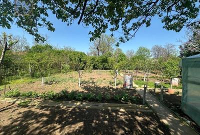 Casa -  Mogosoaia - Individuala - - 4