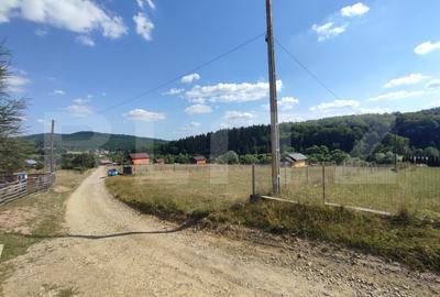 Casa vacanta 5 camere Paltinoasa, zona excelenta, in circuit turistic! - 15