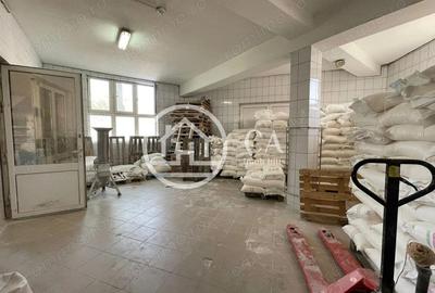 Spatiu comercial de inchiriat in zona Iosia, Oradea - 4