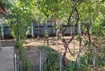 Vând casă + teren agricol Vând casă + teren agricol - 11