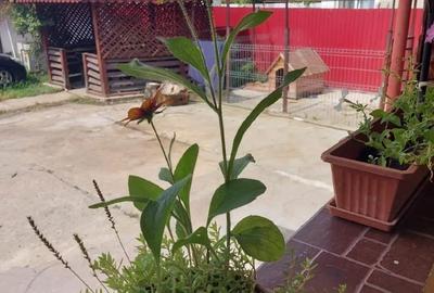 Casă cu 4 camere în Cârbești - 6