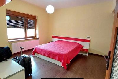 Casă cu 6 camere cu Teren 1500 Mp în Valea Borcutului - 10